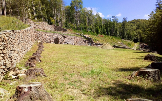 Déboisement en 2019